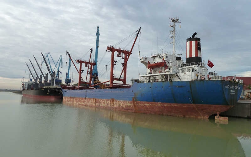 Semana r&eacute;cord de importaci&oacute;n en el Puerto de Sevilla