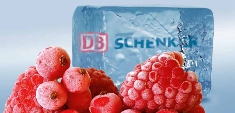 DB Schenker lanza su soluci&oacute;n reefer para log&iacute;stica de temperatura controlada