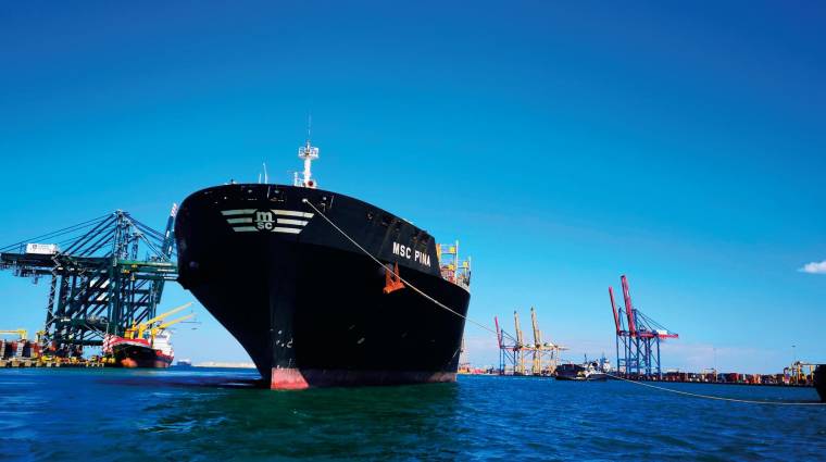 El buque “MSC Pina” a su llegada al puerto de Valencia.