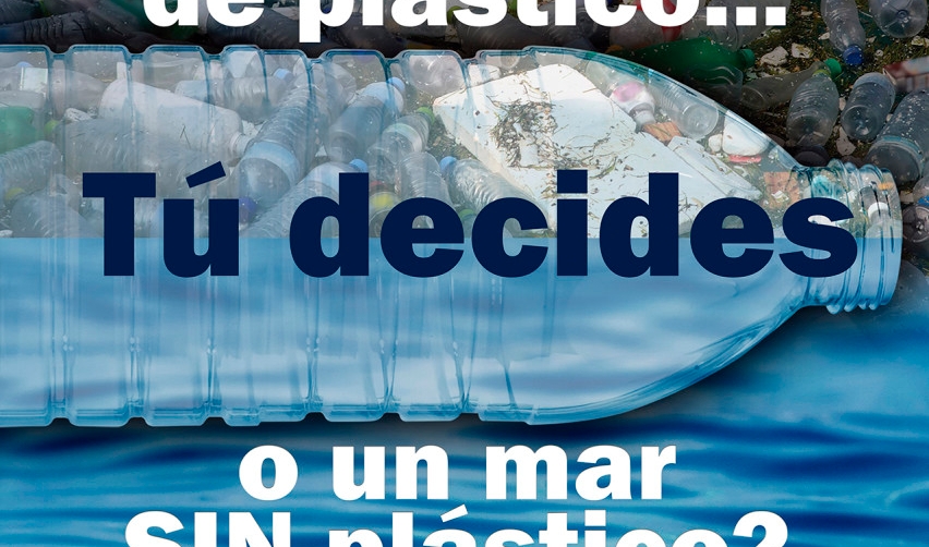 Las terminales de contenedores del Puerto de Val&egrave;ncia avanzan hacia la eliminaci&oacute;n del pl&aacute;stico