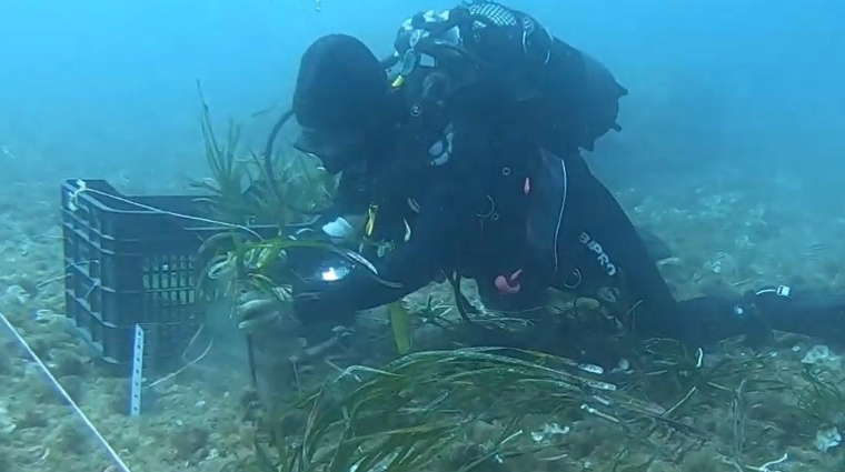 El Puerto de Cartagena compite junto a 14 proyectos en la categoría de “Cuidado del Medio Ambiente”.