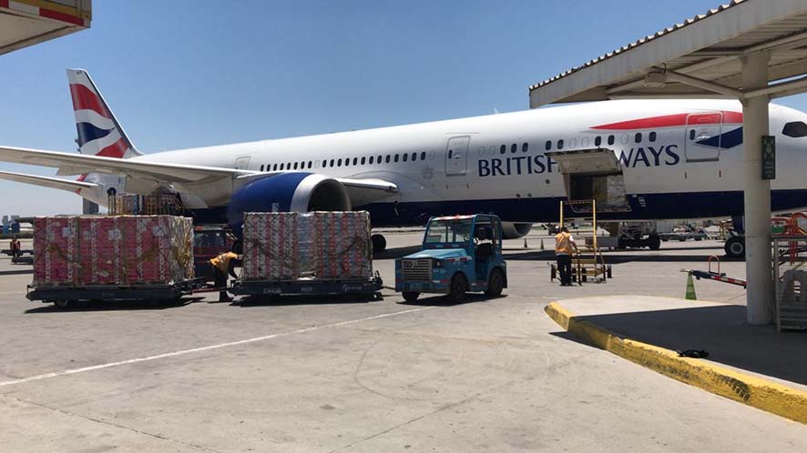 IAG Cargo bate su r&eacute;cord en el transporte de&nbsp;cerezas argentinas y chilenas&nbsp;