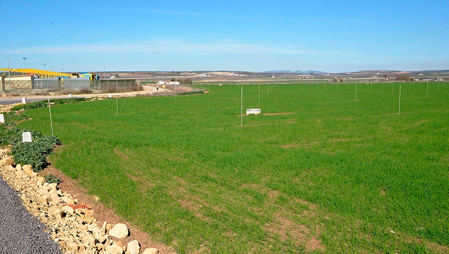 Parcela en la que se levantar&aacute; el nudo log&iacute;stico de Antequera.