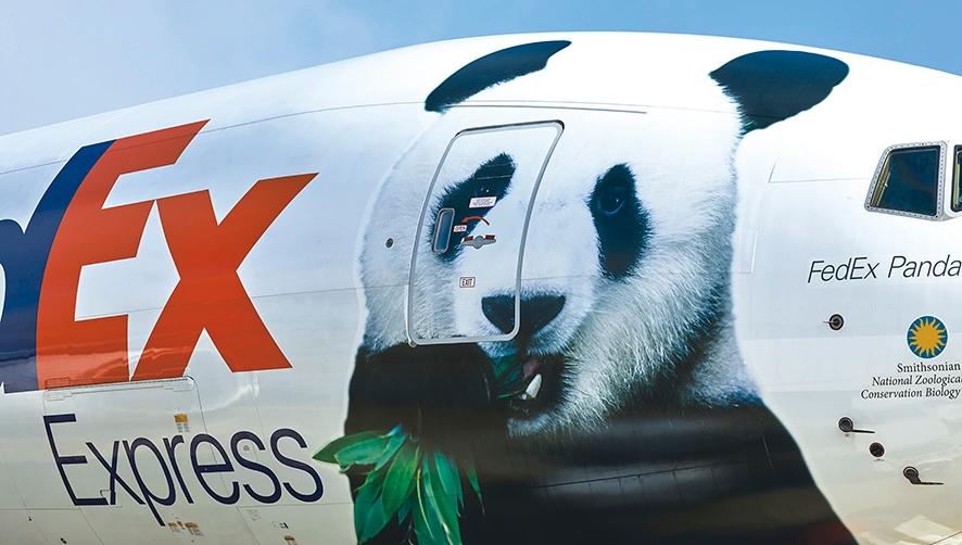 FedEx dona sus servicios de log&iacute;stica para transportar al panda gigante Bei Bei