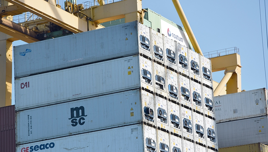 El congreso analizar&aacute; las tendencias del mercado del transporte de refrigerados.