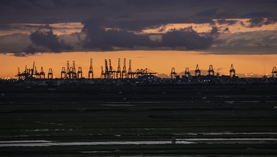 Infoport ofrecer&aacute; servicio de comunicaciones a casi 500 empresas del Puerto de Valencia