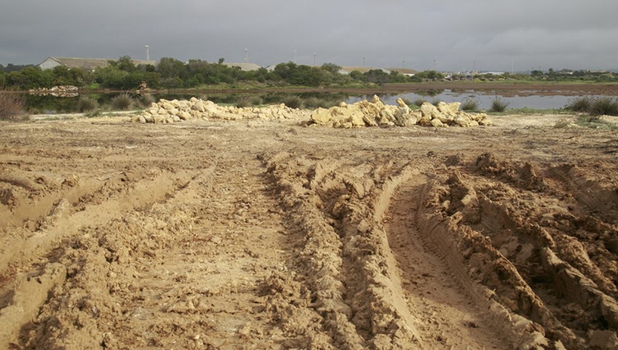 La AP de C&aacute;diz mejora los suelos de la margen izquierda del r&iacute;o Guadalete