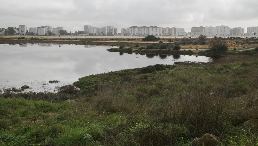 La AP de C&aacute;diz mejora los suelos de la margen izquierda del r&iacute;o Guadalete