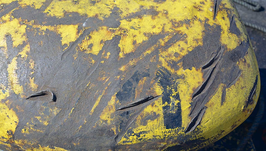 Cicatrices en los muelles