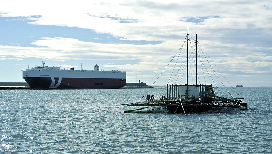 La cl&ograve;txina valenciana, el orgullo medioambiental del puerto de Valencia