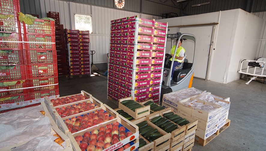Mercabarna dona 300.000 kg de alimentos