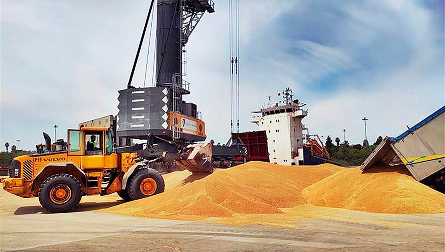 Estibadora Sevillana ofrece servicios completos como operador log&iacute;stico y portuario.