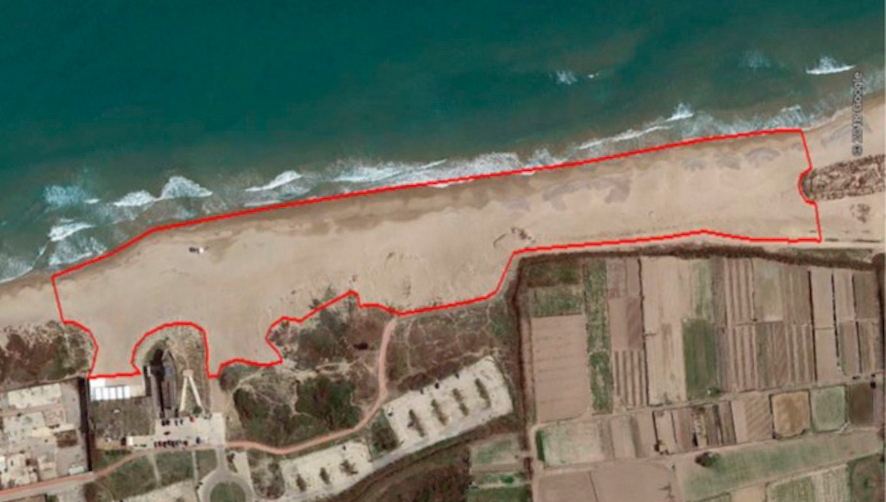 Valenciaport restaurar&aacute; el sistema dunar de la playa de La Creu de El Saler