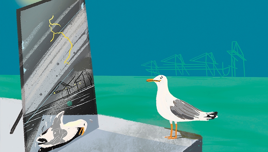 Bulos y realidades sobre el Puerto de Valencia