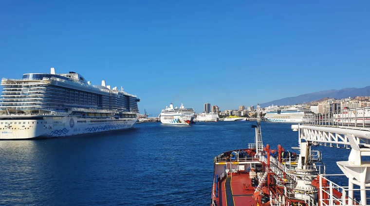 El puerto tinerfeño se alía con el Cabildo Insular, la Zona Especial Canaria (ZEC), Zona Franca Tenerife y la Cámara de Comercio, Industria, Servicios y Navegación de Santa Cruz de Tenerife para potenciar las inversiones en la isla.