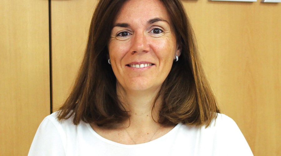 El grupaje conf&iacute;a en poder recuperar en los pr&oacute;ximos meses los niveles previos a la crisis