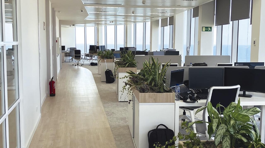 Las nuevas oficinas reunirán bajo un mismo techo a equipos estratégicos.