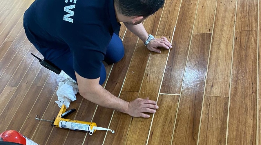 Trasmed prepara la temporada 2022 con la renovaci&oacute;n de su flota