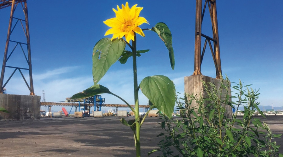 El Port de Tarragona prev&eacute; alcanzar una reducci&oacute;n del 96% de sus emisiones en 2021
