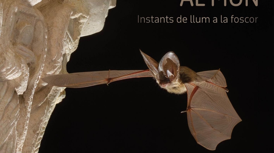Port Tarragona presenta una nueva exposición en el Tinglado 1 ‘Ratpenats al món’