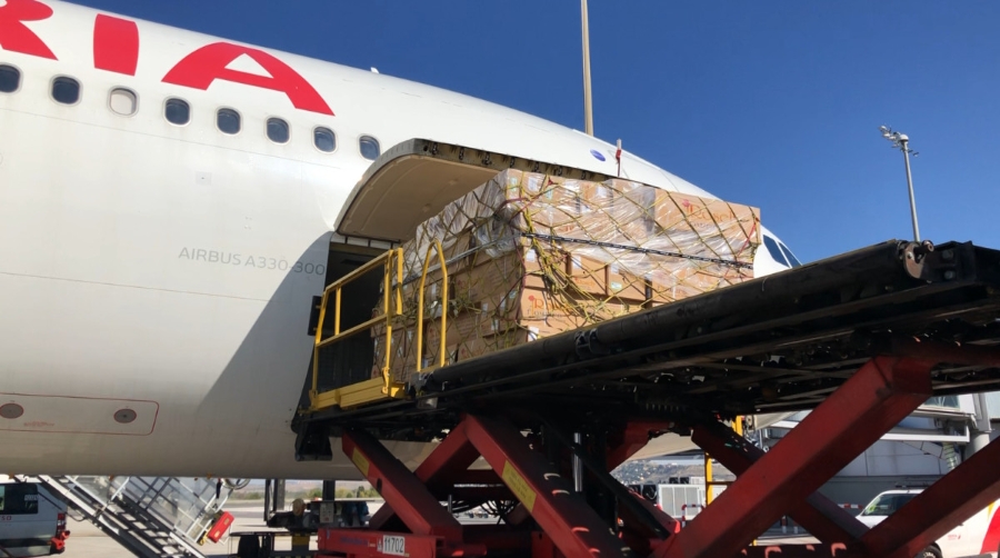 D&iacute;a de Todos los Santos: Iberia trae a Espa&ntilde;a 12 millones de flores