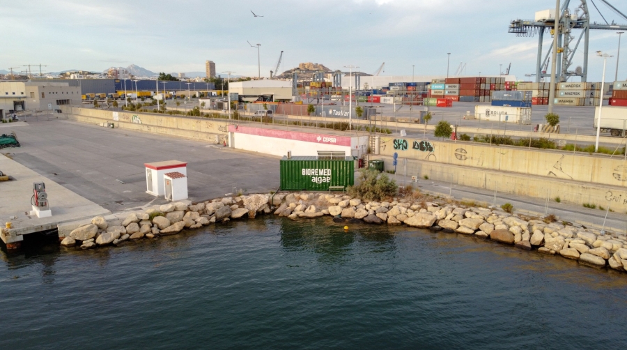 La Comisión Europea ha publicado en su página web un artículo en el que reconoce el proyecto desarrollado por la empresa alicantina Mediterranean Algae.