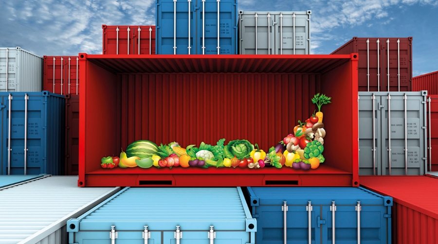 Los puertos espa&ntilde;oles, impulsores de las exportaciones hortofrut&iacute;colas