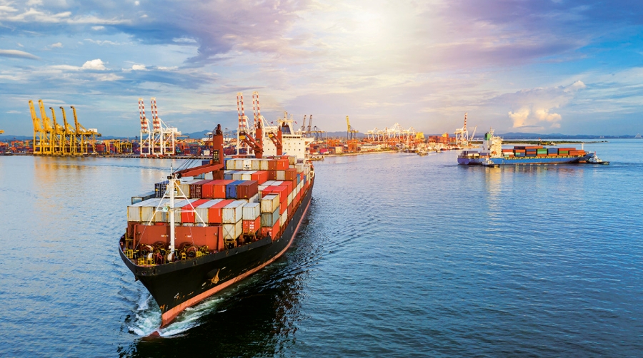 Contenedores, a la cabeza