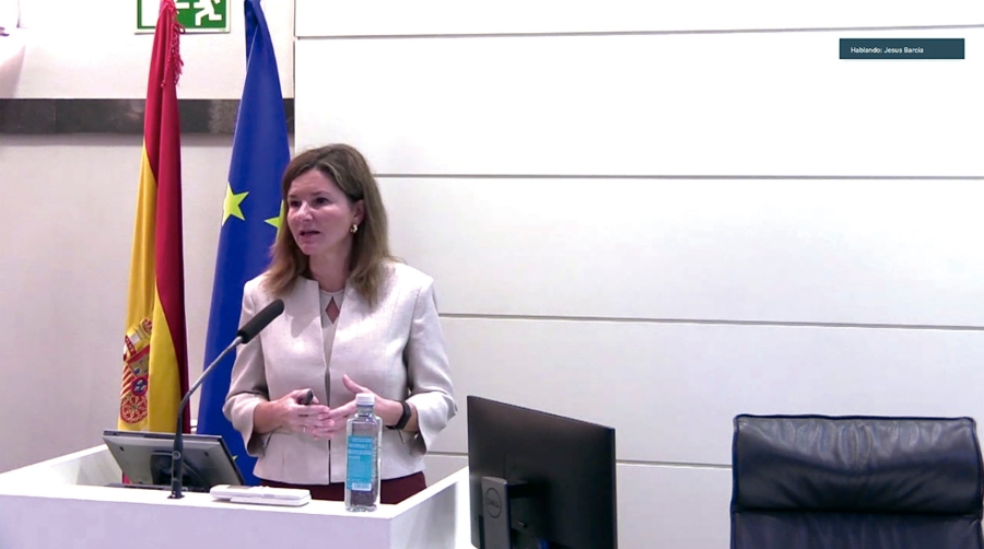 La secretaria general de Transportes, Mar&iacute;a Jos&eacute; Rallo, durante su ponencia.