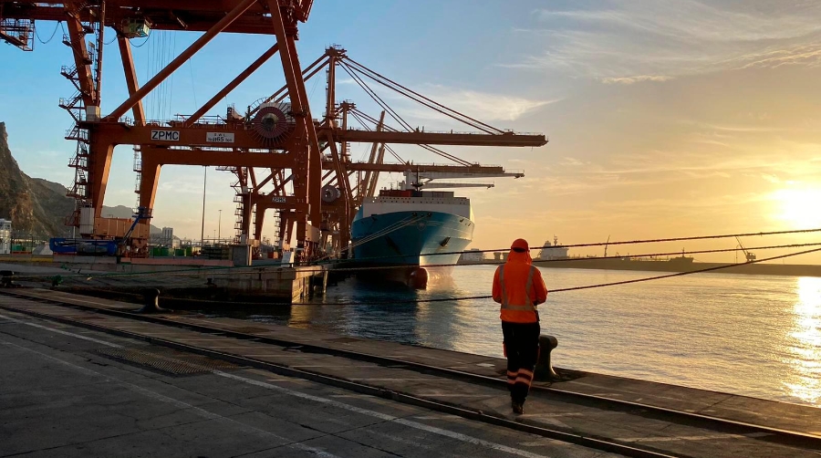 Puertos de Tenerife supera hasta en ocho tráficos la media estatal en el primer semestre