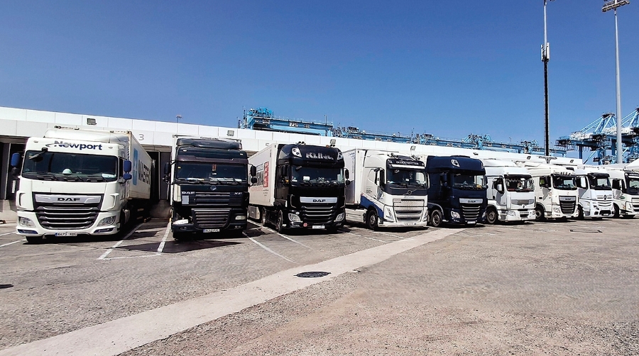 Algeciras refuerza su posición en el tráfico hortofrutícola con más capacidad reefer y un nuevo Port Community System