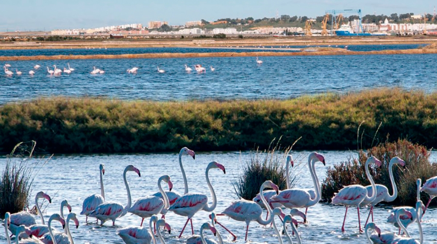 &ldquo;Somos un puerto que ha pasado de ser solo granelero, industrial y energ&eacute;tico, a ser tambi&eacute;n multimodal y log&iacute;stico&rdquo;