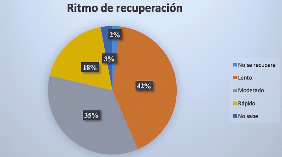 La log&iacute;stica conf&iacute;a en la tecnolog&iacute;a para dirigir la recuperaci&oacute;n