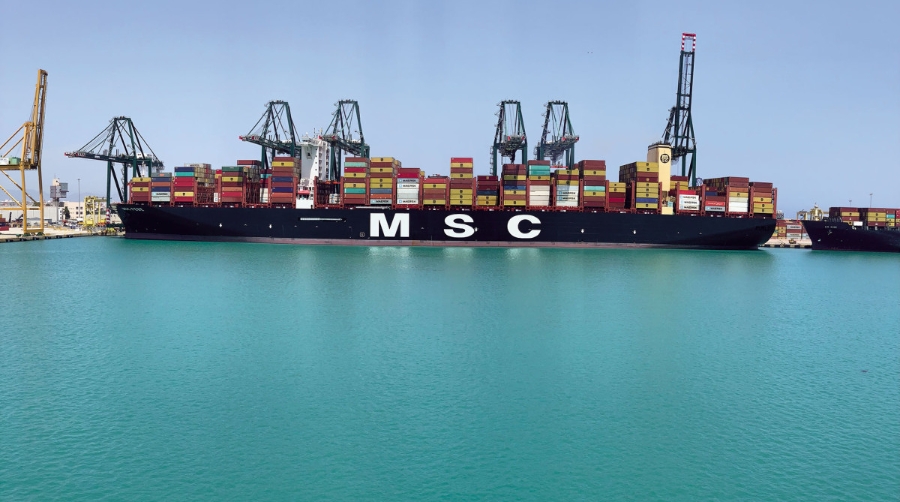 Hasta ocho gr&uacute;as hacen frente en Valencia simult&aacute;neamente a la escala del &ldquo;MSC Febe&rdquo;