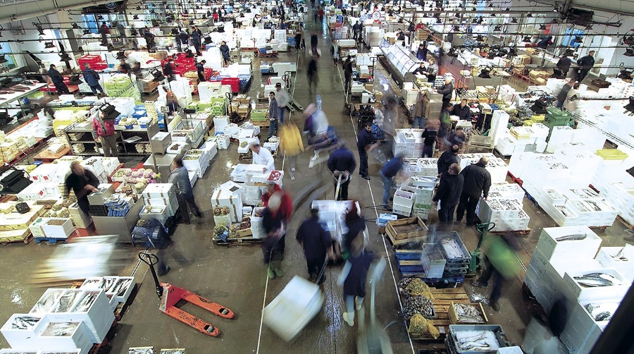 Dieciséis empresas de Mercabarna estarán en el Seafood Barcelona