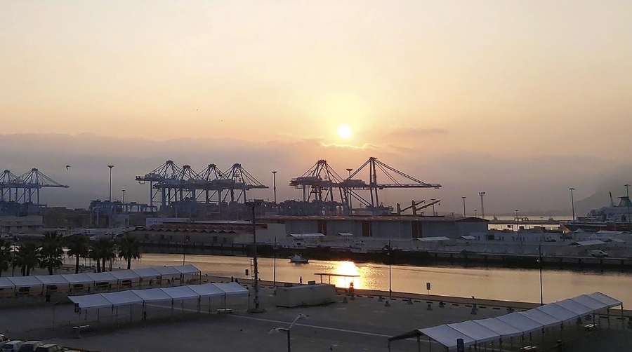 La primera escala de exportación en Algeciras y Lisboa se producirá durante la primera semana del mes de octubre.