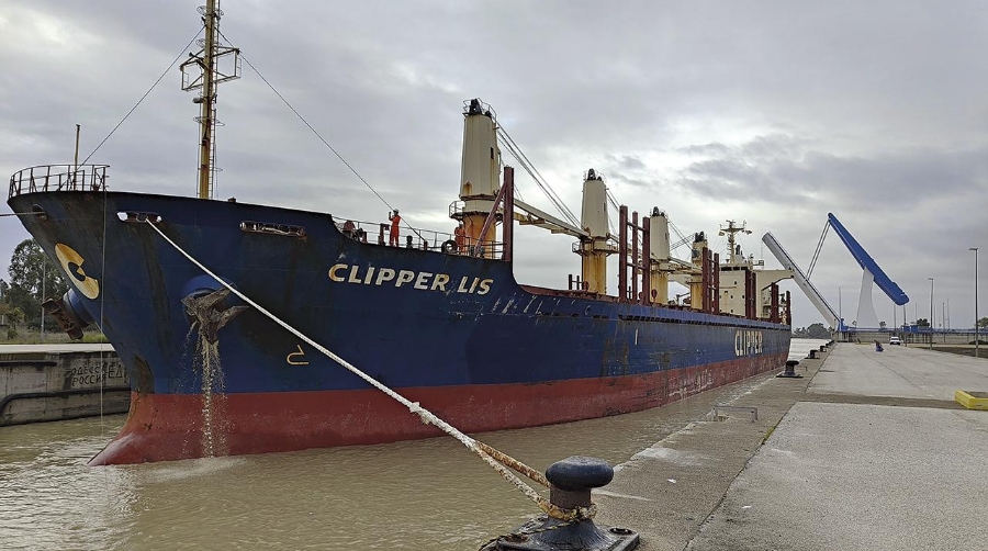 El Puerto de Sevilla bate su propio récord al descargar 15.600 toneladas de trigo panificable