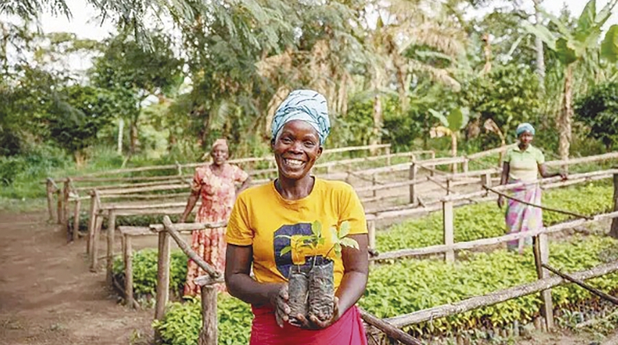 Entre los proyectos climáticos que apoya Cargoboard se encuentran iniciativas de reforestación en Uganda.