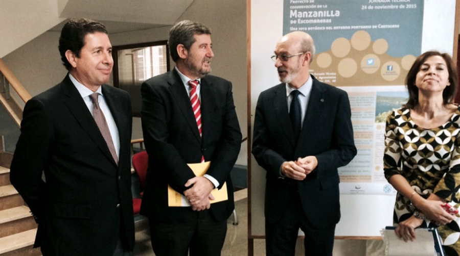 El proyecto para conservar la manzanilla de Escombreras, un &eacute;xito