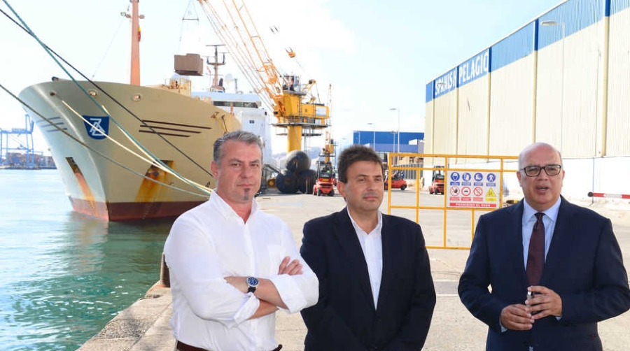 Primera escala de capturas pel&aacute;gicas marroqu&iacute;es en Las Palmas este a&ntilde;o