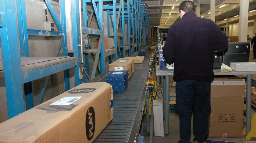 Damos la talla en exportaci&oacute;n