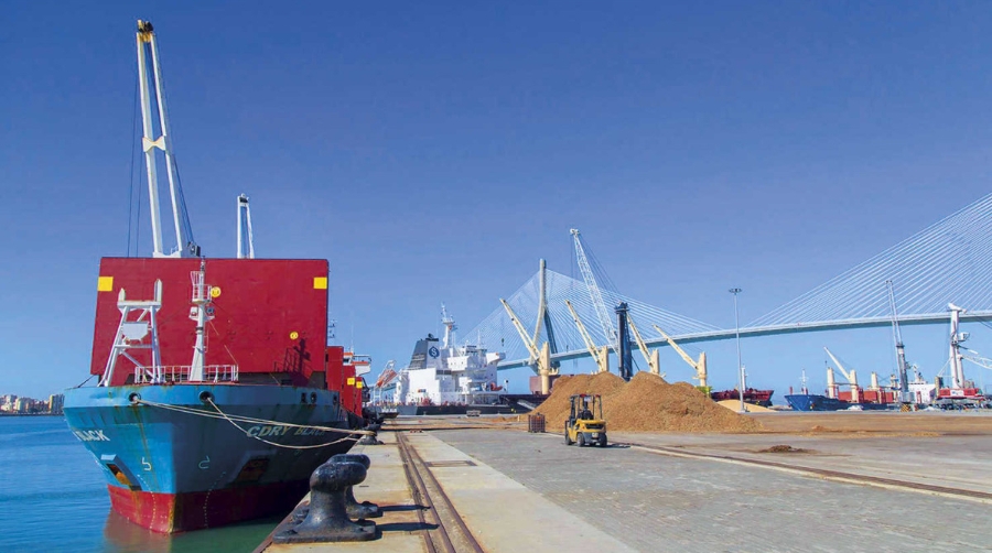 Los graneles y las conexiones con Canarias equilibran los tr&aacute;ficos en el puerto de C&aacute;diz