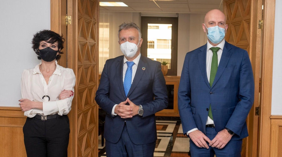 Canarias analiza las oportunidades de la eólica marina con Navantia, Pymar y Fedeport