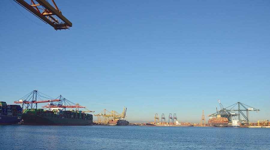 El Mediterráneo Occidental registró una variación mensual positiva del 0,60%.