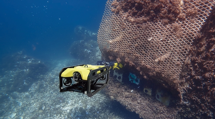 Las estructuras LBUs son piezas inspiradas en arrecifes naturales.