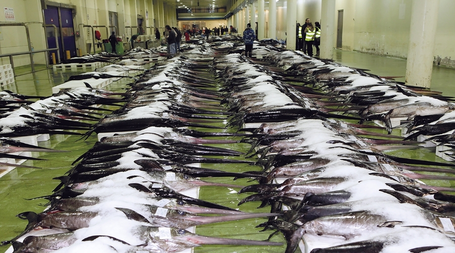 Este avance alivia la carga administrativa de los operadores.