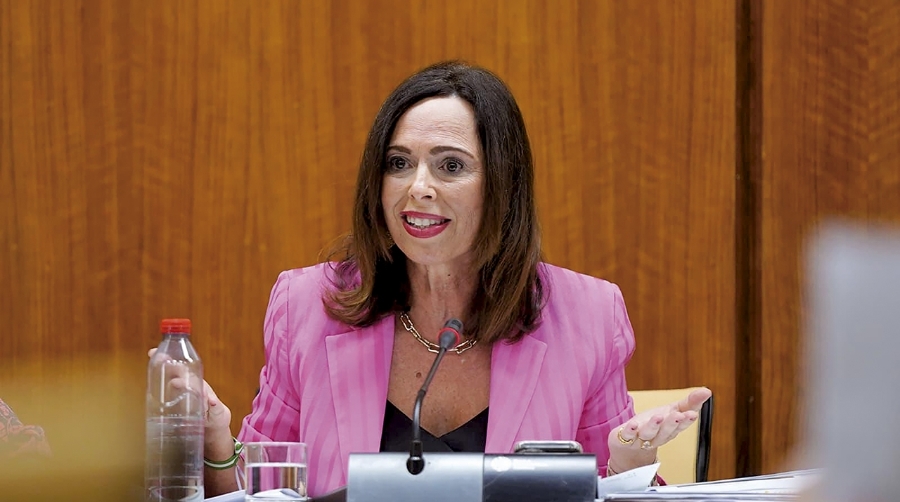 Rocío Díaz, consejera de Fomento, Articulación del Territorio y Vivienda de la Junta de Andalucía.