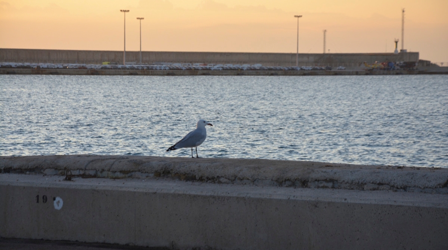 Valenciaport firma el Call to Action para la descarbonizaci&oacute;n del shipping