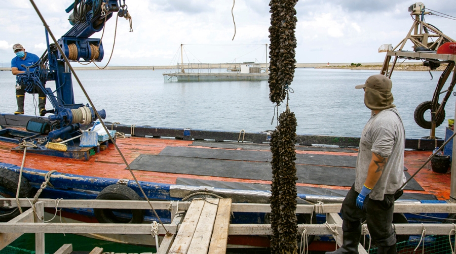 Valenciaport se suma al D&iacute;a Mundial del Agua