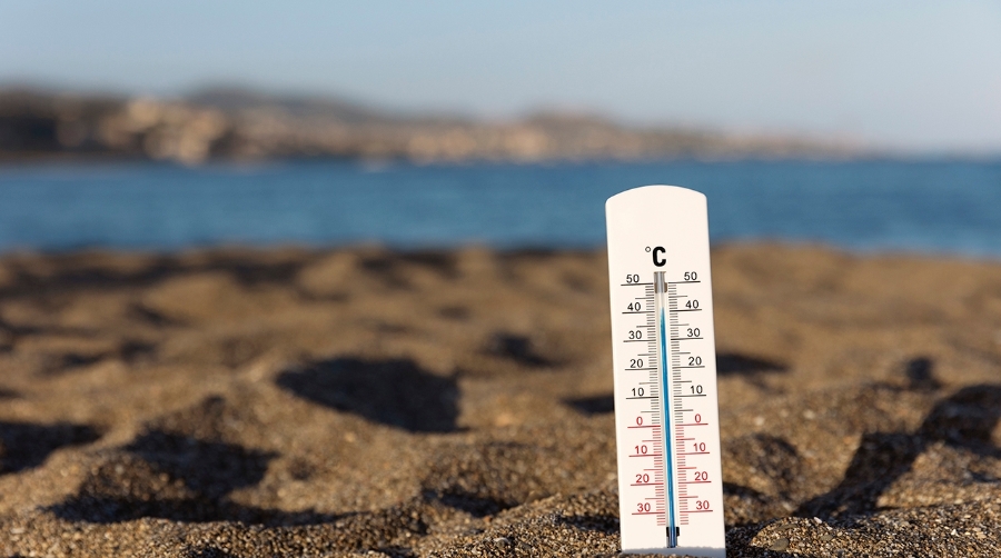 CINCO termómetros para medir el 2026 logístico